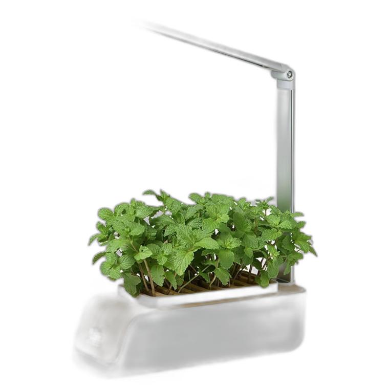가정용 LED 식물 채소 재배기 식물재배기 CYPP310