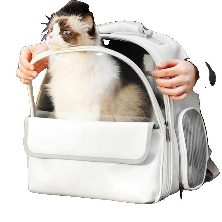 강아지 고양이 이동백팩 가방 애완동물 캐리어