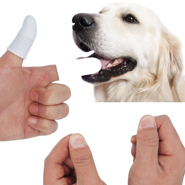  강아지 간식 손가락 PET 긁개 세트 치약 마스크 붕대 용품 샴푸 분리기
