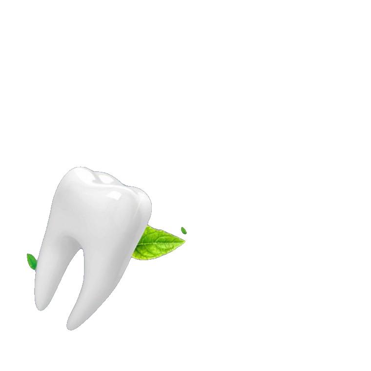  치아 구강 치료 휴대용 이쑤시개 120P 칫솔형 치과 치유 치매 치질 치통 치주 치열