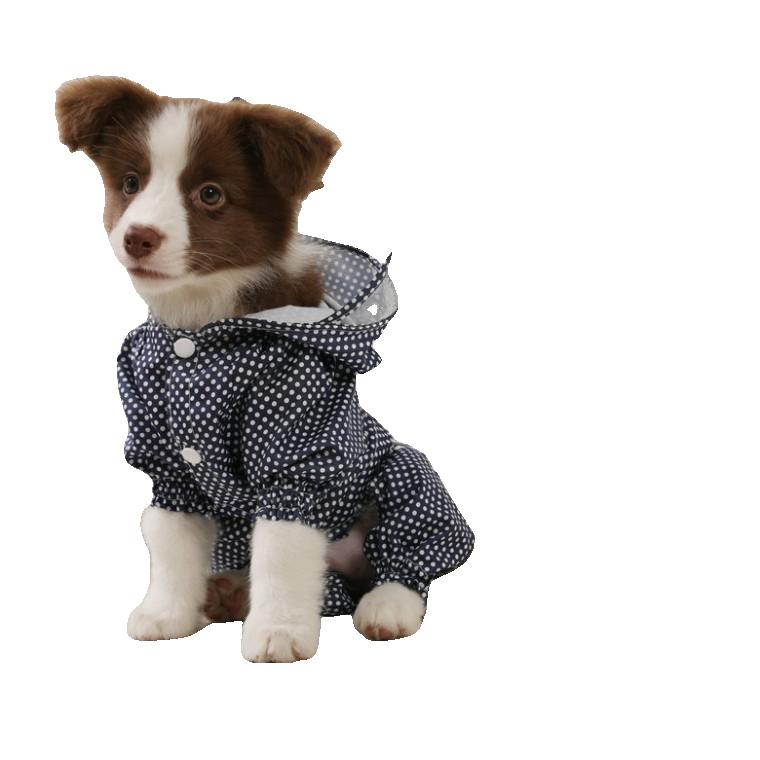강아지옷 땡땡이 도트무늬 우비