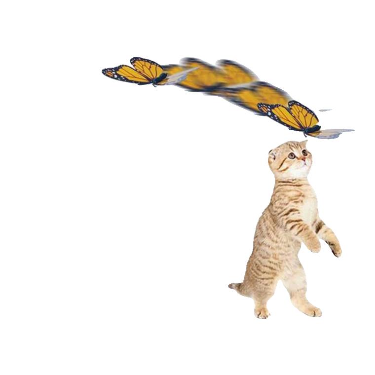 움직이는 나비 파리쫓는 기 팔랑 고양이 자동 장난감