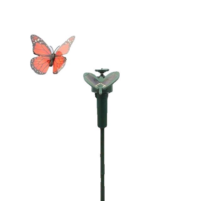 나비집 나비날개 나비종류 장난감 나비색 나비귀신 나비무늬 나비풀 나비발자국 나비줄기