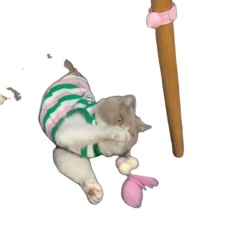 PET 착감김 고양이 장난감 깃털 낚시대 사냥 놀이 기구 움직이는 카샤 붕붕