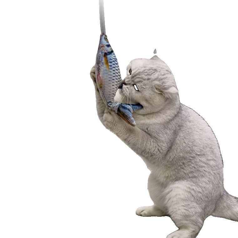 고양이 움직이는 장난감 놀리기 물고기 애견 용품 강아지 놀이 기구 4종 분리 불안 반려 동물 완구