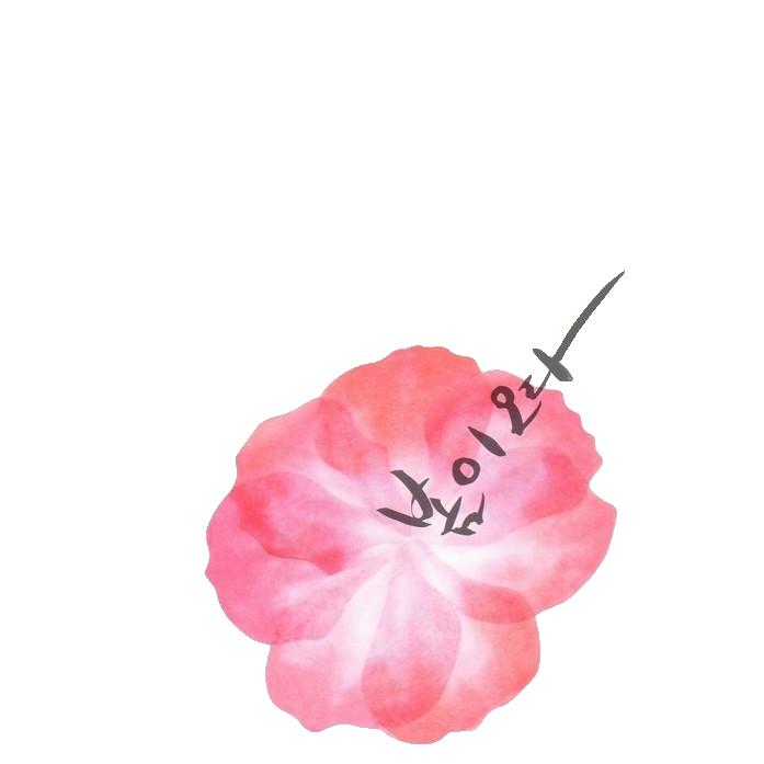 꽃잎 마스킹테이프 스티커