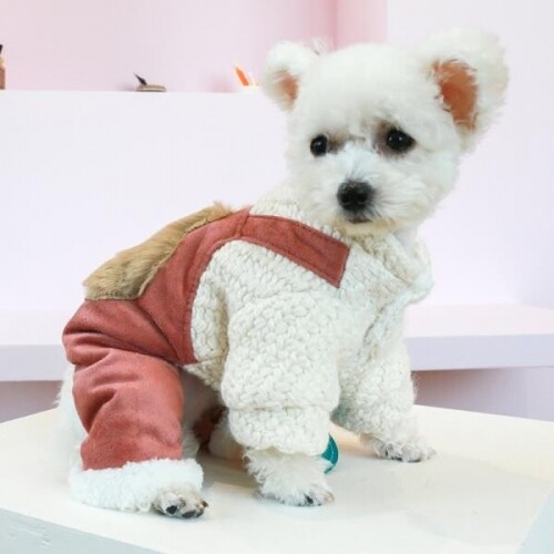 강아지 댕댕이 후리스 뽀글이 옷 겨울옷 패딩 자켓