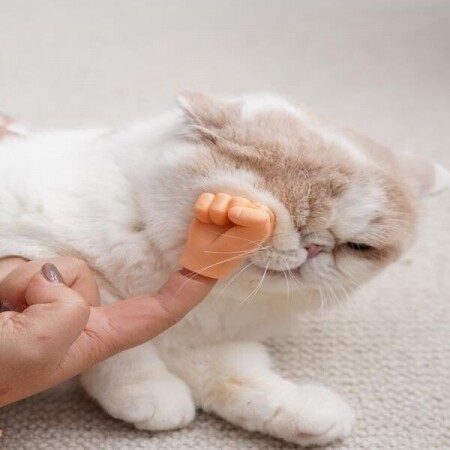고양이 손가락 미니 핸드 가위 바위 보 장난감 핑거 교감 쓰다듬기