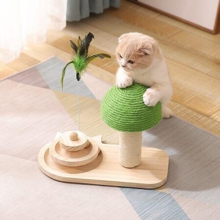 버섯 달팽이 귀여운 스크레처 플레이트 고양이 장난감