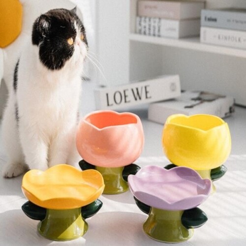 꽃 봉오리 고양이 강아지 접시 세라믹 그릇 볼 식탁