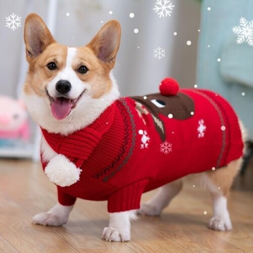 애견 스웨터 강아지 옷 겨울 니트 크리스마스 루돌프