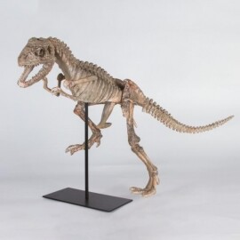 공룡 화석 모형 공룡 뼈 인테리어 공예 조형물 장식품