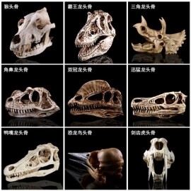 공룡 화석 모형 공룡 뼈 인테리어 공예 장식품 조형물