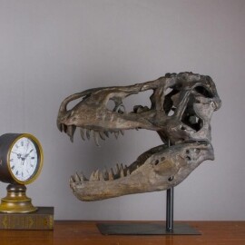 공룡 대형 화석 모형 공룡 뼈 감성 인테리어 장식품