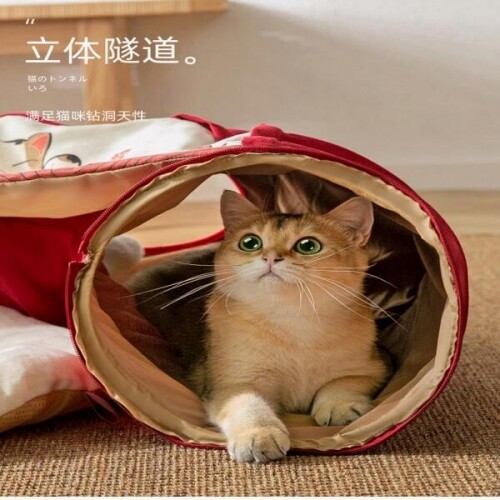 귀여운 고양이 터널 빨간 터널 숨는 터널 캣 숨바꼭질