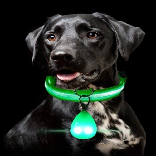 강아지 LED 빔 펜던트 야광 방울 목걸이 발광 안전등 야간 밤 산책 라이트 분실 방지 안전