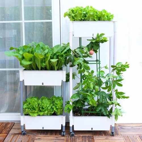 최신 대파키우기 상추키우기 야채 키우기 실내 야외 베란다 텃밭 화분 아파트 옥상 집에서 식물 키우기