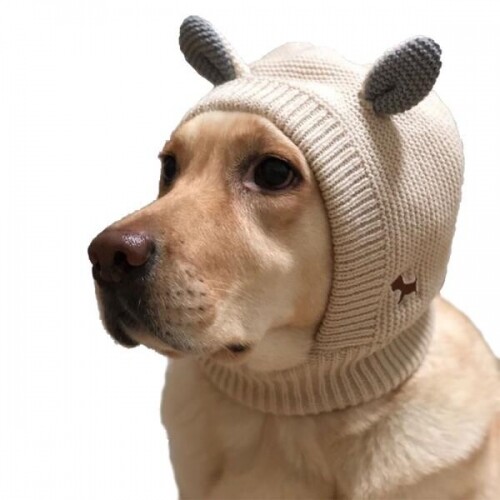 강아지 목욕 귀마개 사계절 목욕 헤어밴드 귀마개 수영모자 스파용품 샤워캡 패션 애완동물 모자 비니