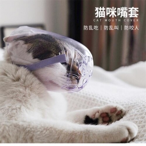 고양이 얼굴 가리개 입질 방지 목욕 미용 안대 물림 방지 고양이얼굴가리개 고양이 마스크 입마스크