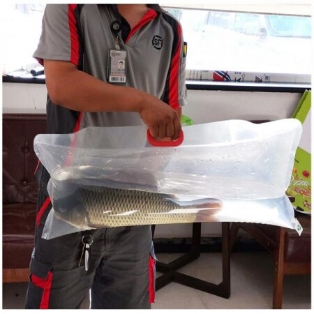촬어 낚시 물고기 포장 비닐 산소 포장 열대어포장봉투 물고기비닐 생물봉투 10장세트