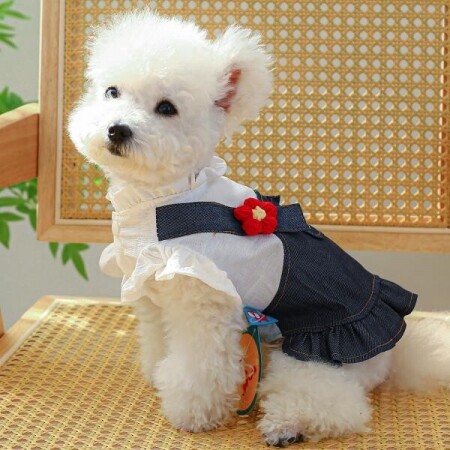 사계절 서스펜더 스커트 강아지 청치마 원피스 예쁜 봄 옷 고양이 나들이 피크닉옷 패션 용품