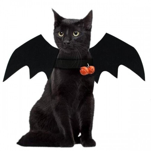 반려동물 고양이 강아지 코스튬 박쥐날개 할로윈 파티 날개옷 날개장식