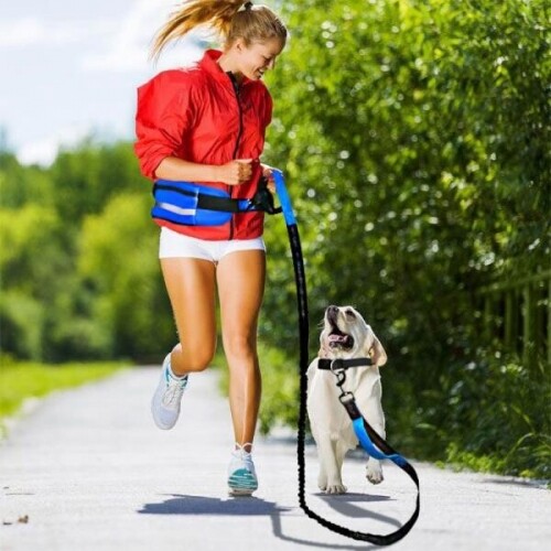 강아지허리줄 리드줄 산책 런닝 러닝 산책 달리기 강아지 로프 다용도 반려동물 스포츠