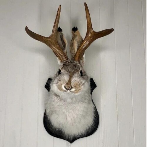 토끼 사슴 인테리어 헌팅 트로피 동물 머리 벽 장식