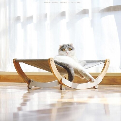고양이 해먹 흔들의자 스윙 침대