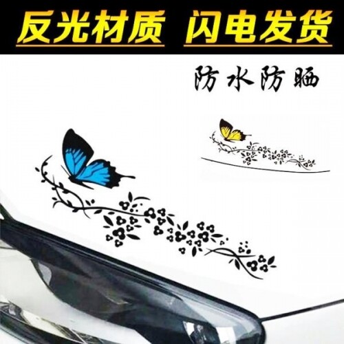 체리 자동차 나비 커버 스크래치 방지 스티커